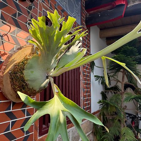 Grace Homestay Csincseng Kültér fotó