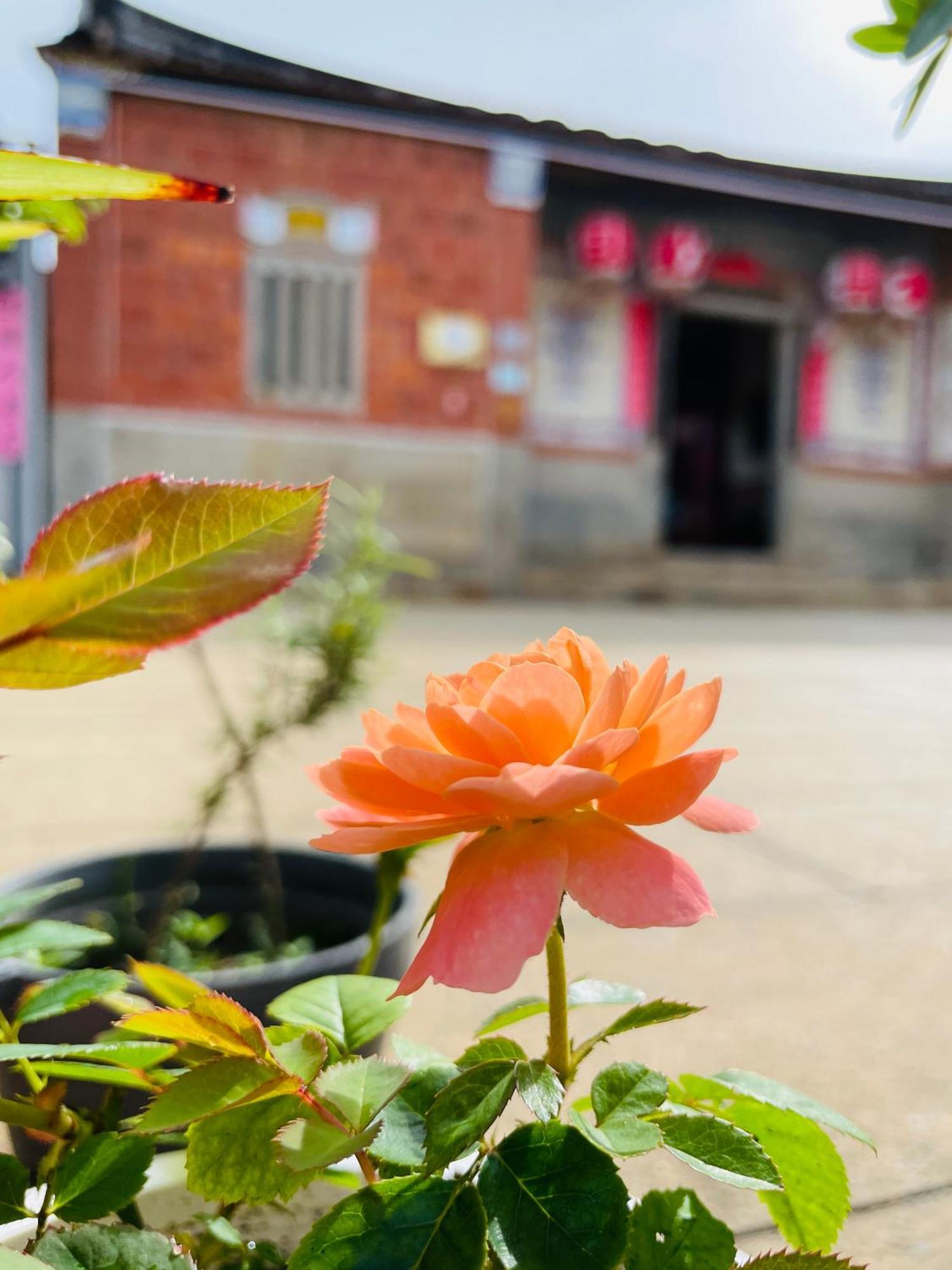 Grace Homestay Csincseng Kültér fotó
